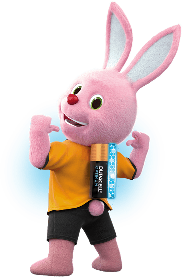 Duracell zec